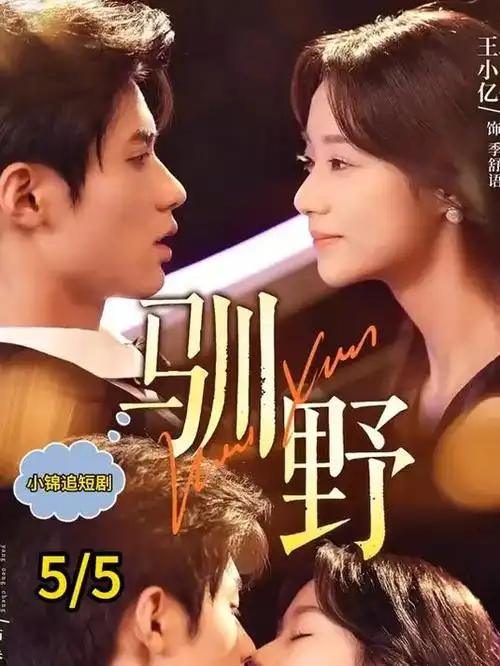 电视剧《追风者》海报